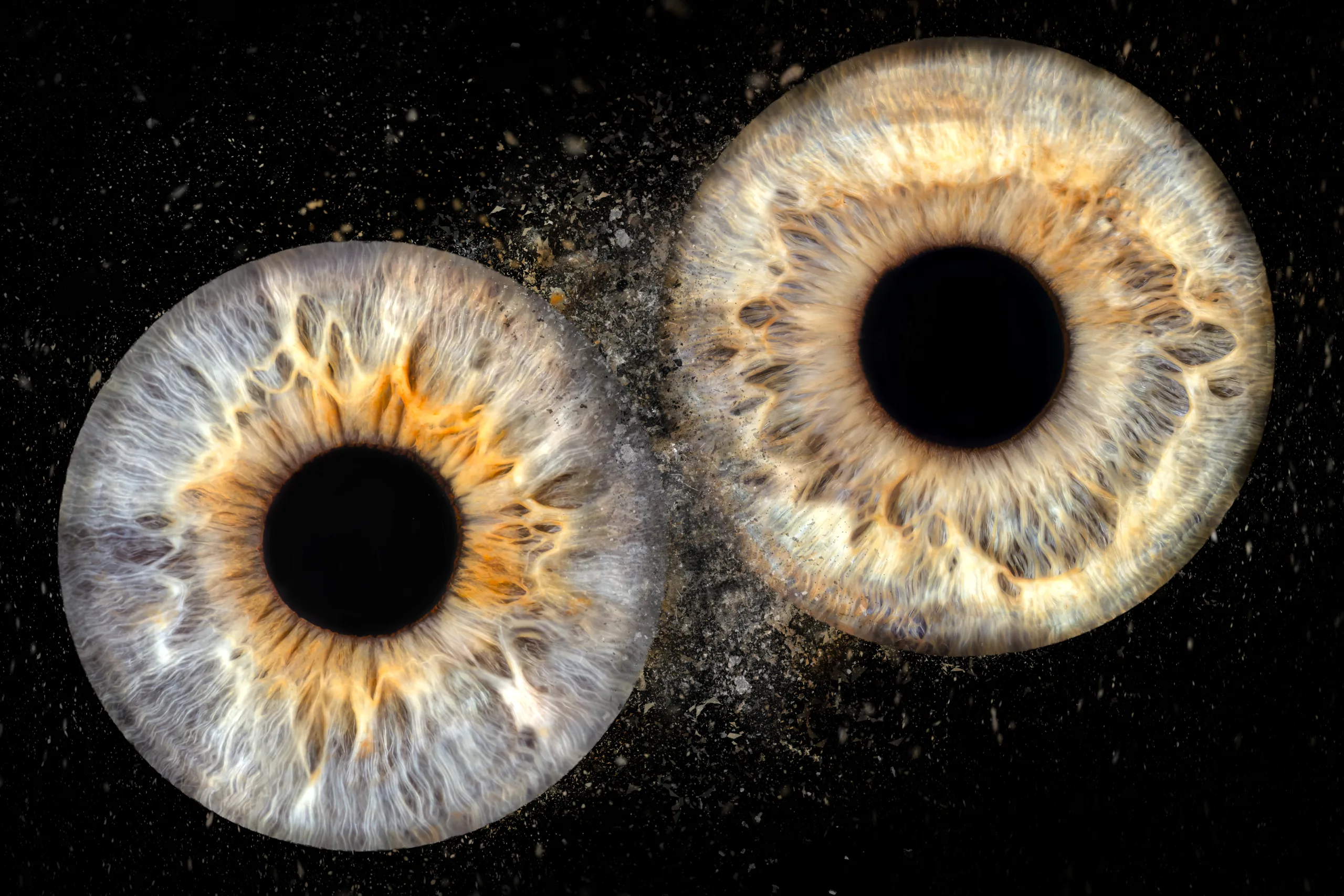 Photo d'iris macro — Studio Deux-Quatre