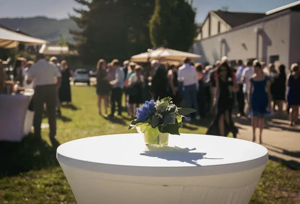 Vin d'honneur mariage Alsace — Studio Deux-Quatre