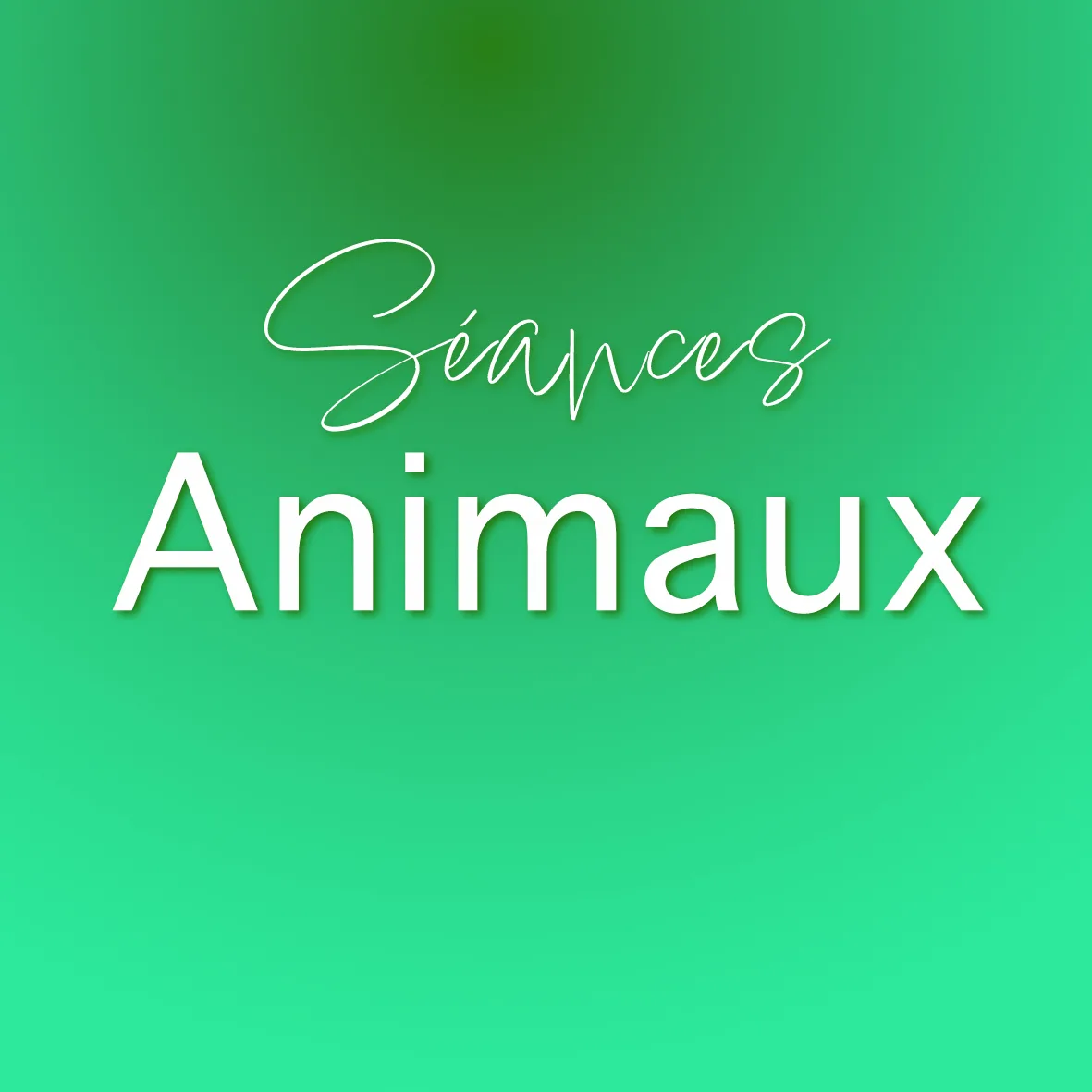 Animaux